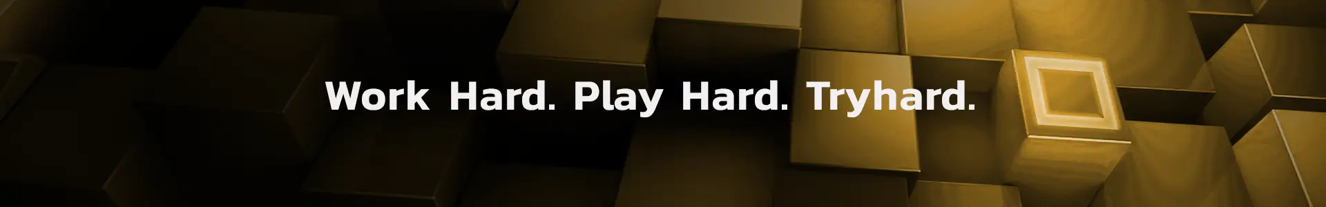 Work hard. Play hard. Tryhard.